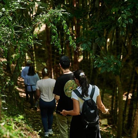 Fundo San Jose Parque Ecologico & Lodge Hotel Asociado Casa Andina La Merced  Ngoại thất bức ảnh