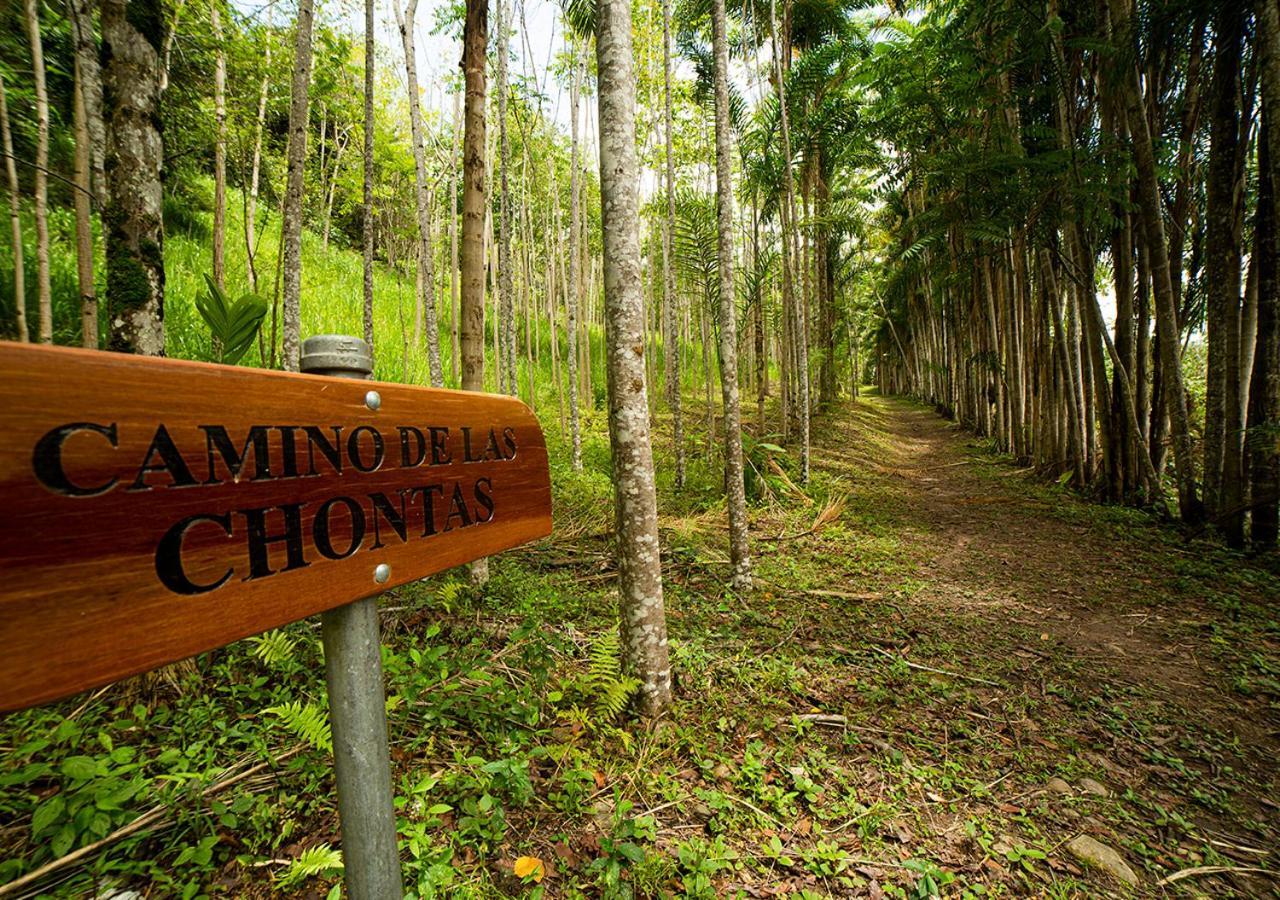Fundo San Jose Parque Ecologico & Lodge Hotel Asociado Casa Andina La Merced  Ngoại thất bức ảnh